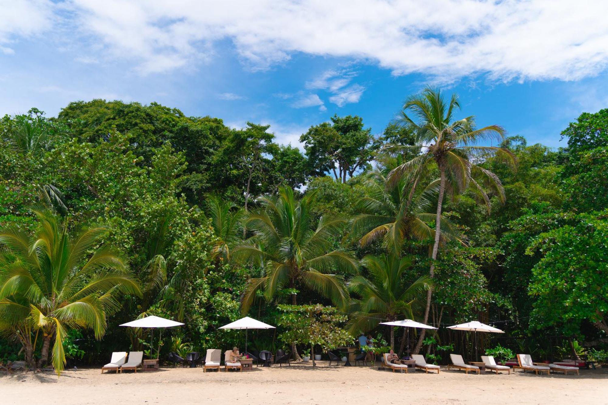 Awa Beach Hotel Puerto Viejo de Talamanca Exterior photo